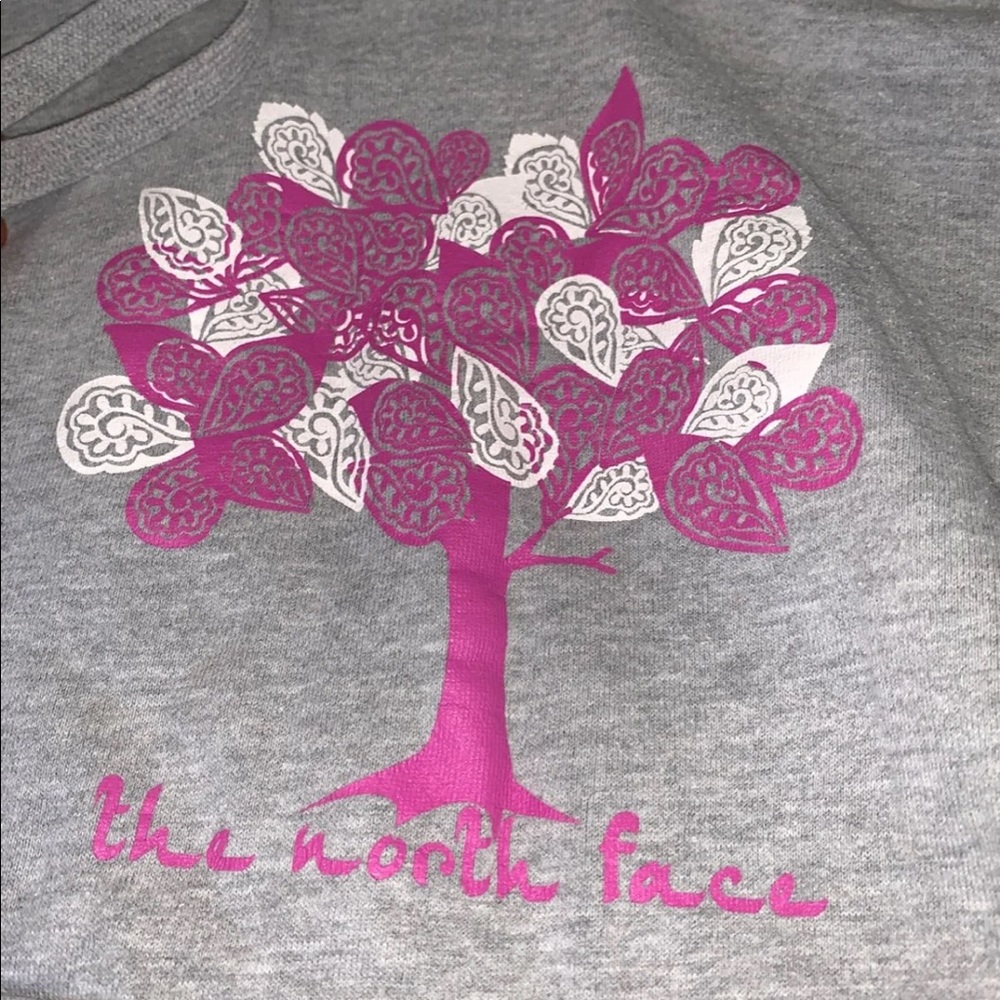 The North Face Grey Graphic Sweatshirt